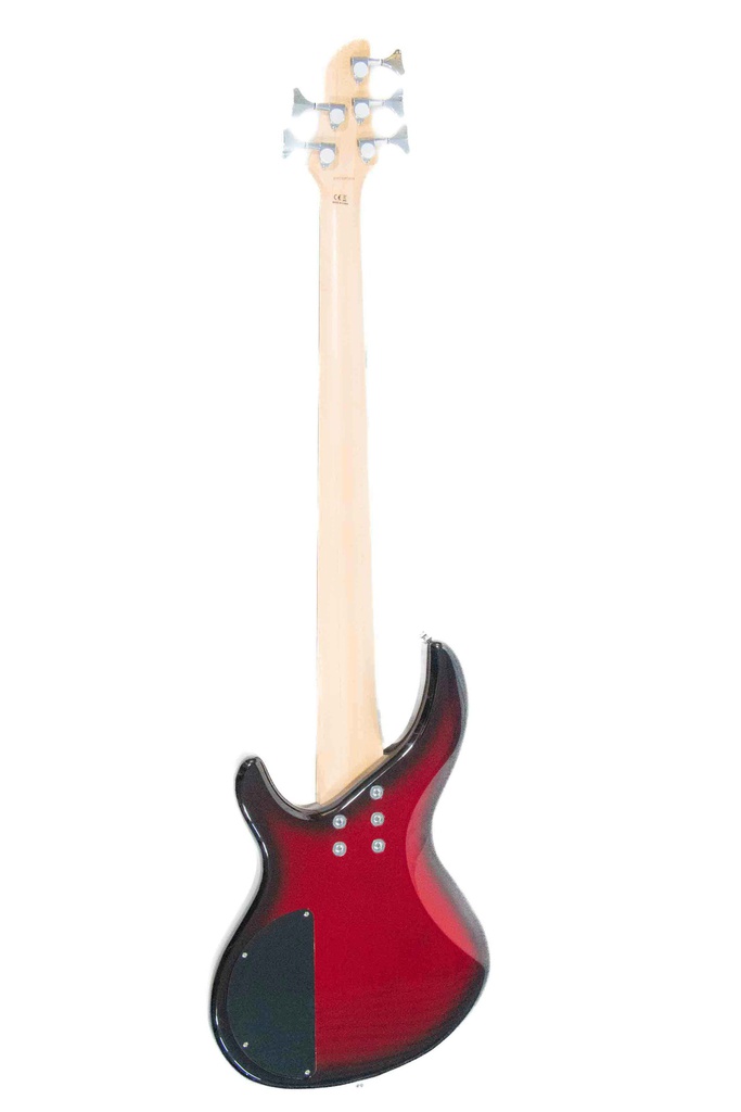 Bajo Electrico Aria Pro II IGB Standard 5 cuerdas