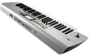 Teclado Korg Workstation completo con 61 teclas Platado