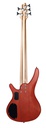 Bajo Electrico Symphonic 5Cdas RD C/Funda BS200-NA RD