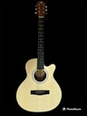 Guitarra Electro-clasica Con FISHMAN Symphonic GS-2C