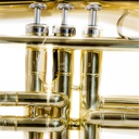 Trombon De Embolos Symphonic Bb TM-9010