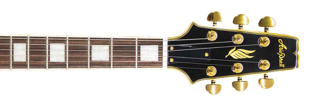 Guit. Eléctrica Aria Pro II PE-350PF AGBK