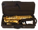 Sax Alto Profesional Laqueado Estilo 82Z