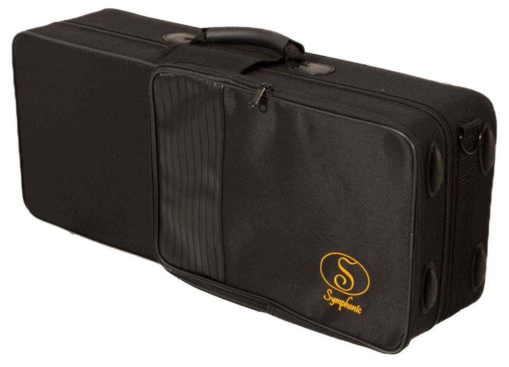 Sax Alto Profesional Laqueado Estilo 82Z