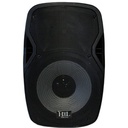 Bafle De 15" Mp3,Sd,Bluetooth,Fm.Salida Spk