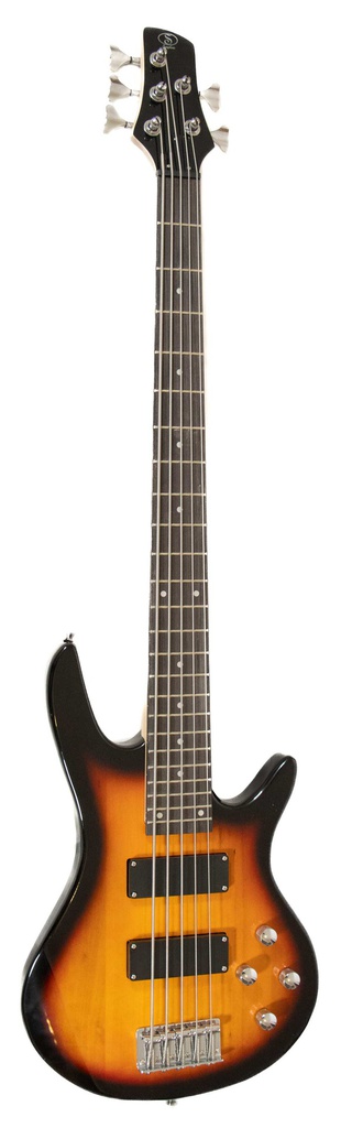 Bajo Electrico de 5 Cuerdas Con Funda Bs  SQIBBS5 BS