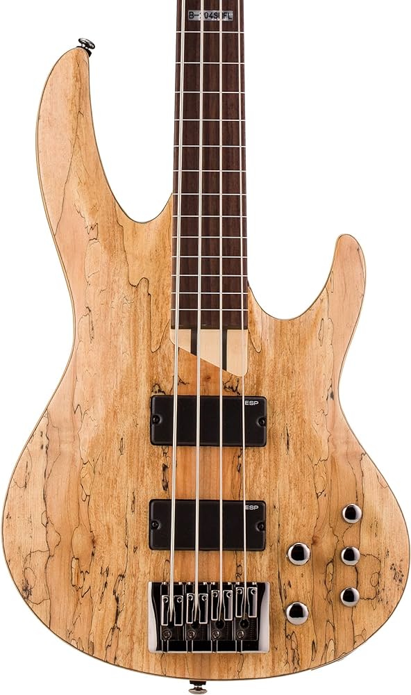 Bajo Electrico LTD B204SMNS