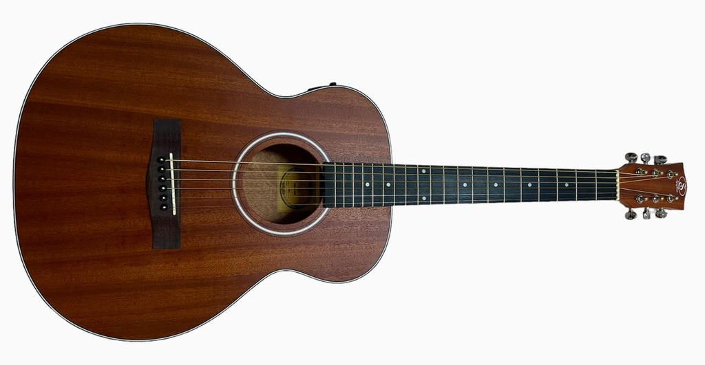 Guitarra Electroclasica Symphonic Pastilla FishmanGS-1