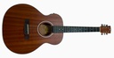 Guitarra Electroclasica Symphonic Pastilla FishmanGS-1