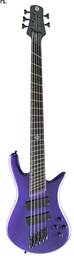 [NSDM5PL] Bajo Electrico Spector NS Dimension 5 cuerdas Plum Crazy Gloss