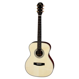 [ARIA-501 N] Guitarra Acustica Premium-- ARIA-501 N 