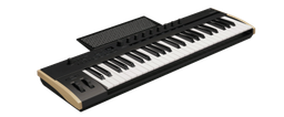 [KEYSTAGE49] Keystage  poly at midi keyboard korg